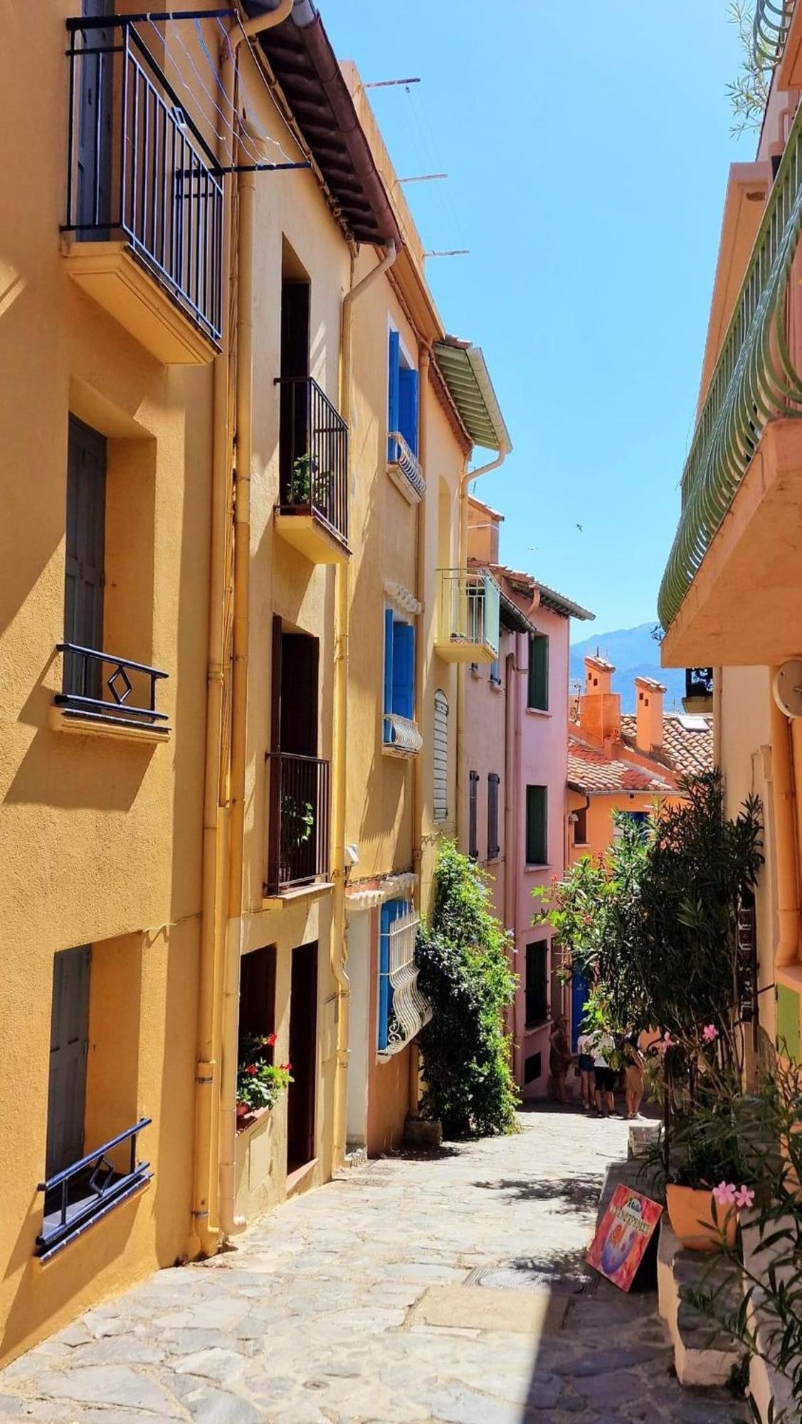 5Rbut1 - Maison Familiale Sur Deux Niveaux En Plein Coeur Du Centre Ville Collioure Buitenkant foto