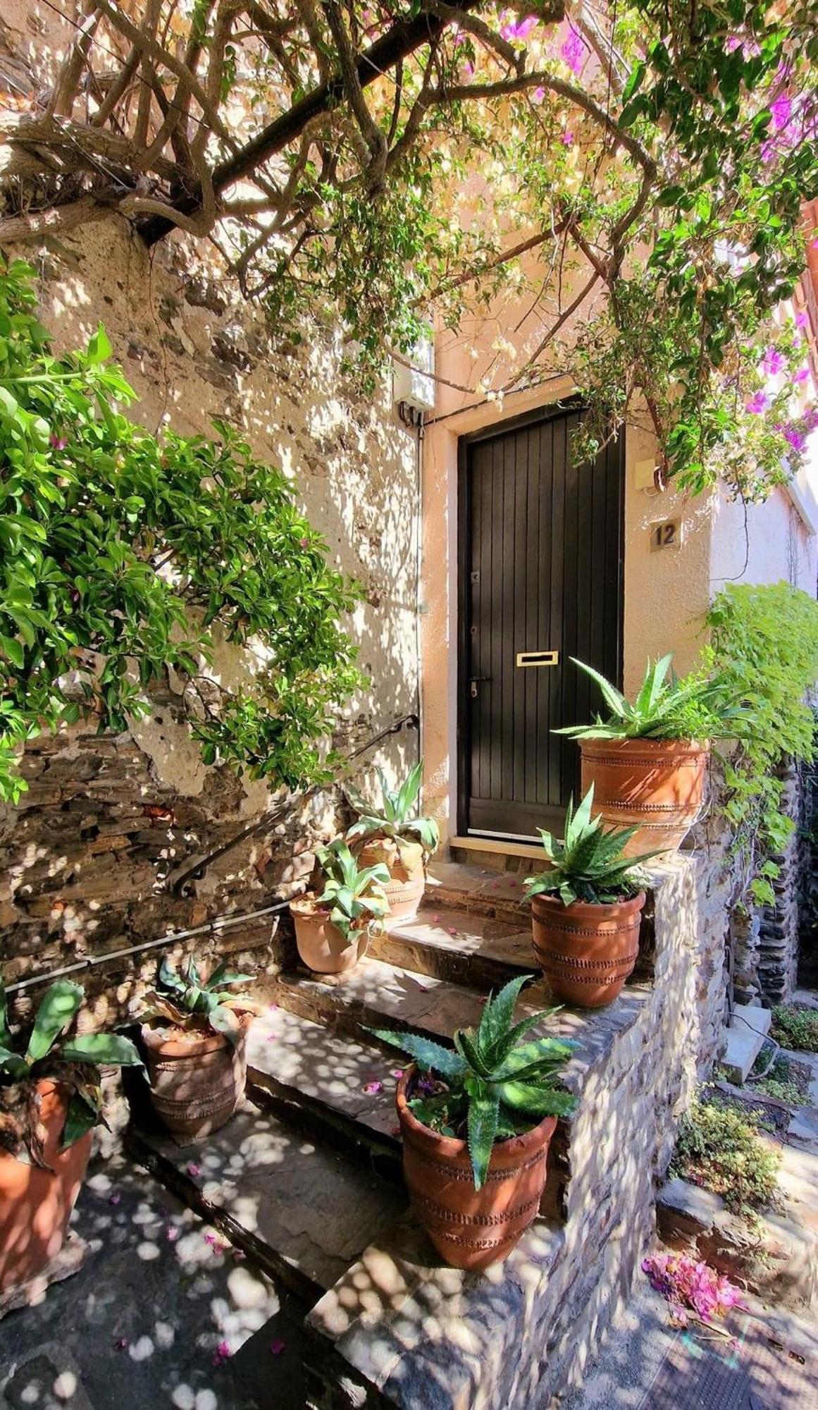 5Rbut1 - Maison Familiale Sur Deux Niveaux En Plein Coeur Du Centre Ville Collioure Buitenkant foto