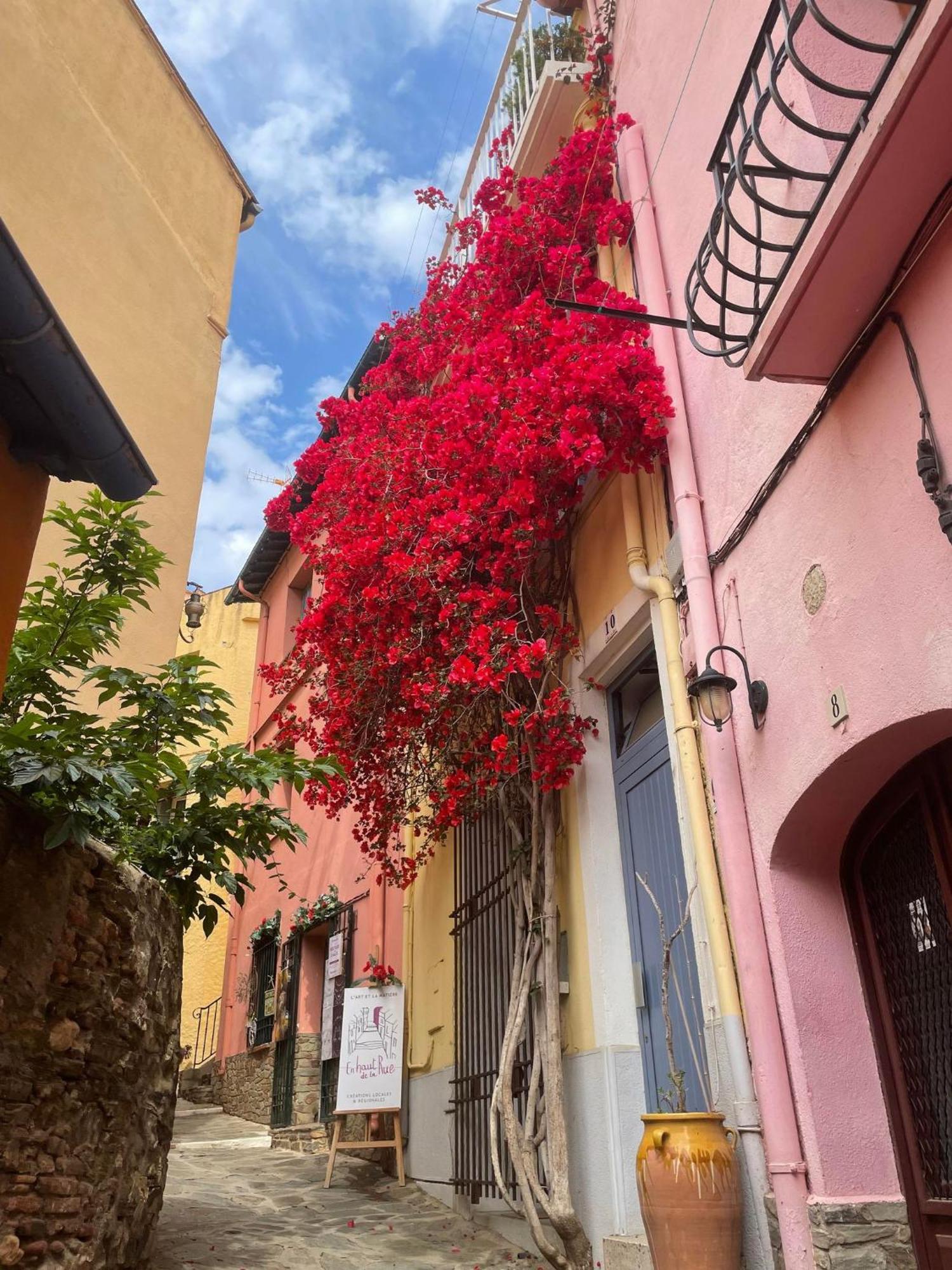 5Rbut1 - Maison Familiale Sur Deux Niveaux En Plein Coeur Du Centre Ville Collioure Buitenkant foto